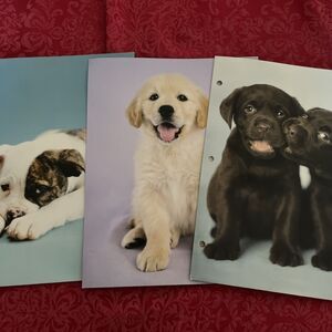 2009 Folder 3-Ring Binder Folio Puppy Photos Lot Of 3 READ